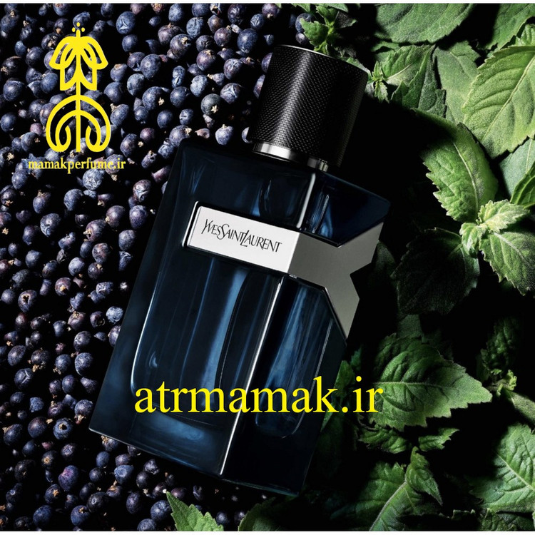 عطر ایف سنت لورن وای